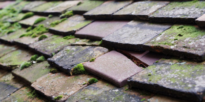 Old Down roof repair costs